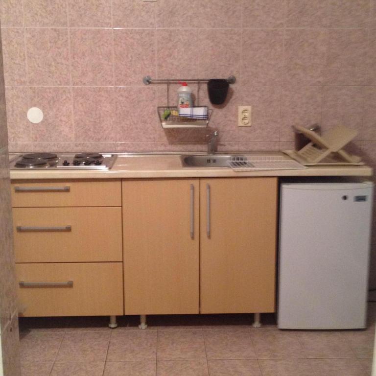 Solar Apartments - One-Bedroom Apartment with Terrace - 4