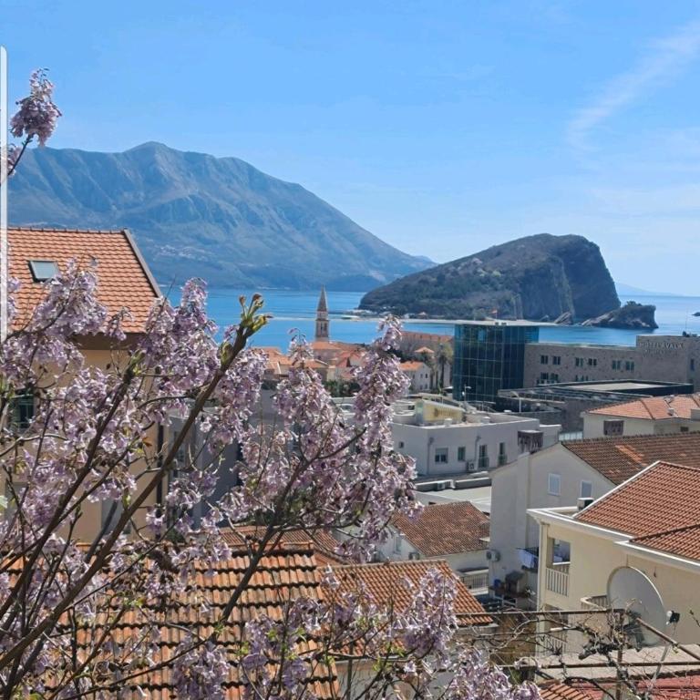 Apartmani Vila Marija - Apartman sa 1 Spavaćom Sobom - 9