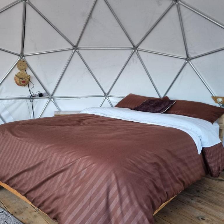 Glamping El Edén Guasca Cundinamarca - Habitación Doble con baño privado - 4
