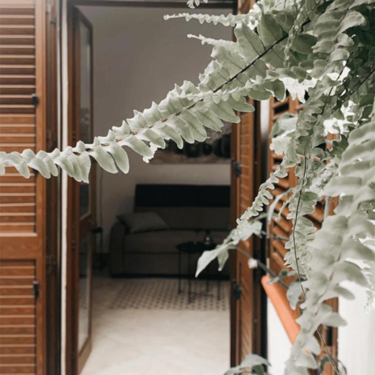 La Casa Di Maya - Appartamento con 1 Camera da Letto - 1