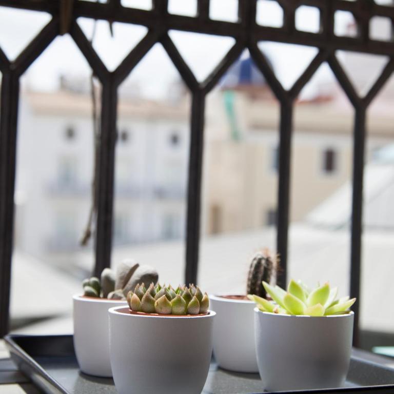 BUBUFLATS Mossén - Loft - 7