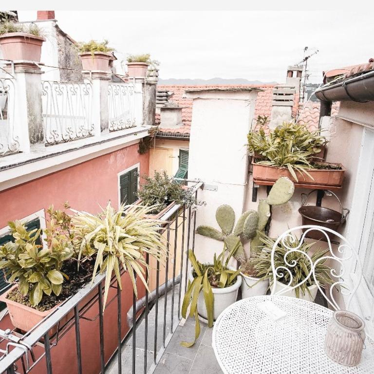 Casa vacanze Cinzia - Appartamento Standard - 19
