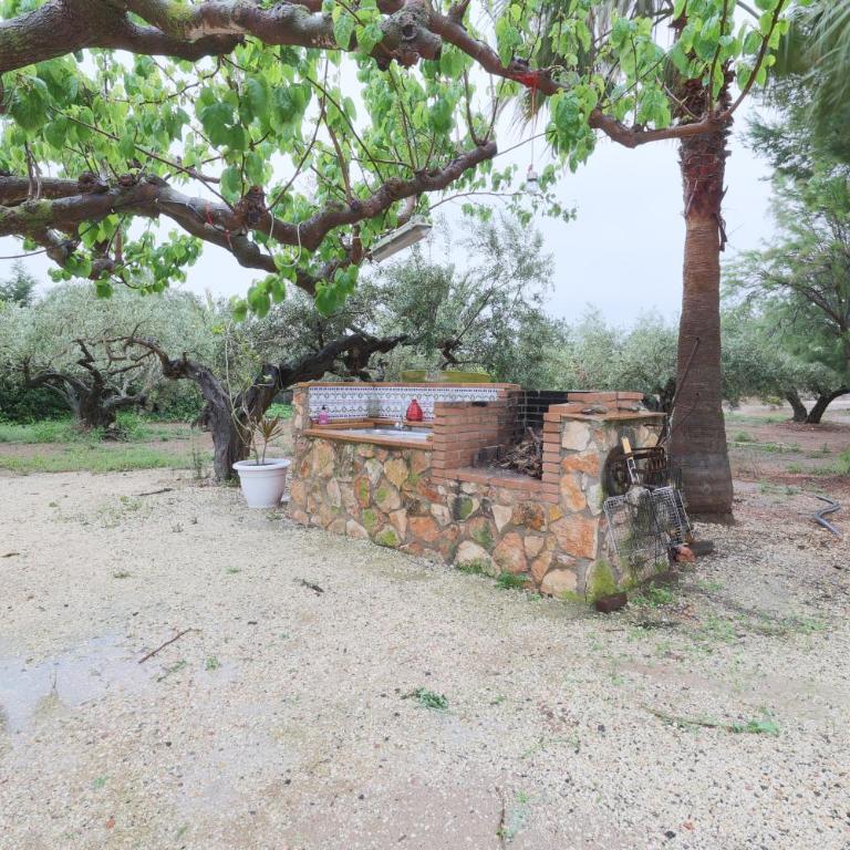 Lo raconet - Casa de 2 dormitorios - 33