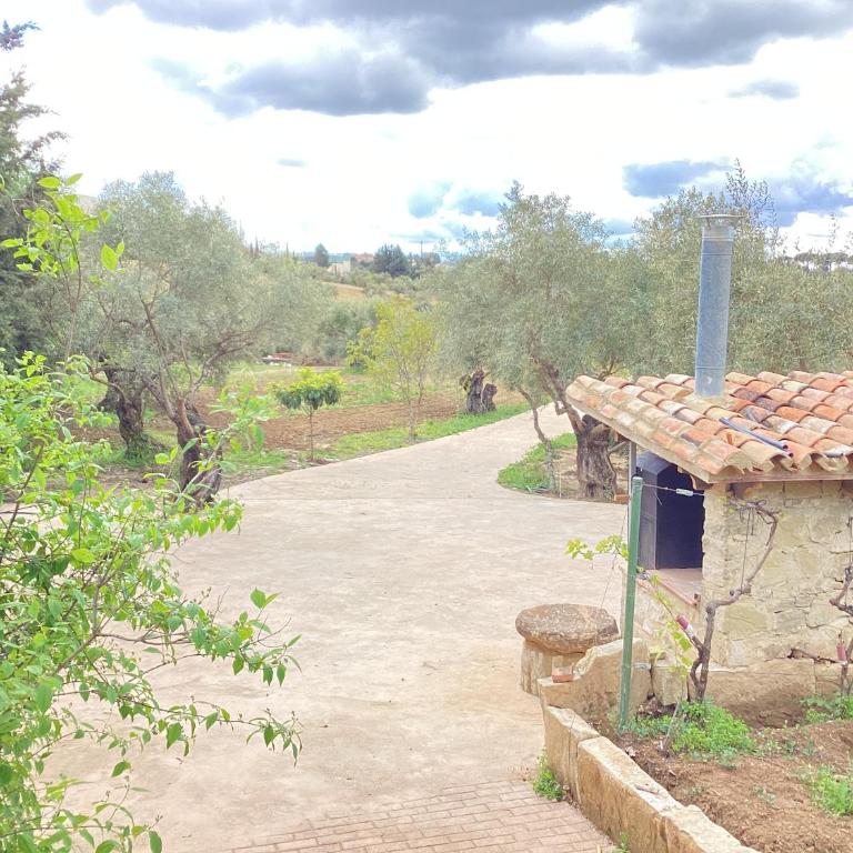 Alojamiento Rural El olivar - Casa de 3 dormitorios - 23