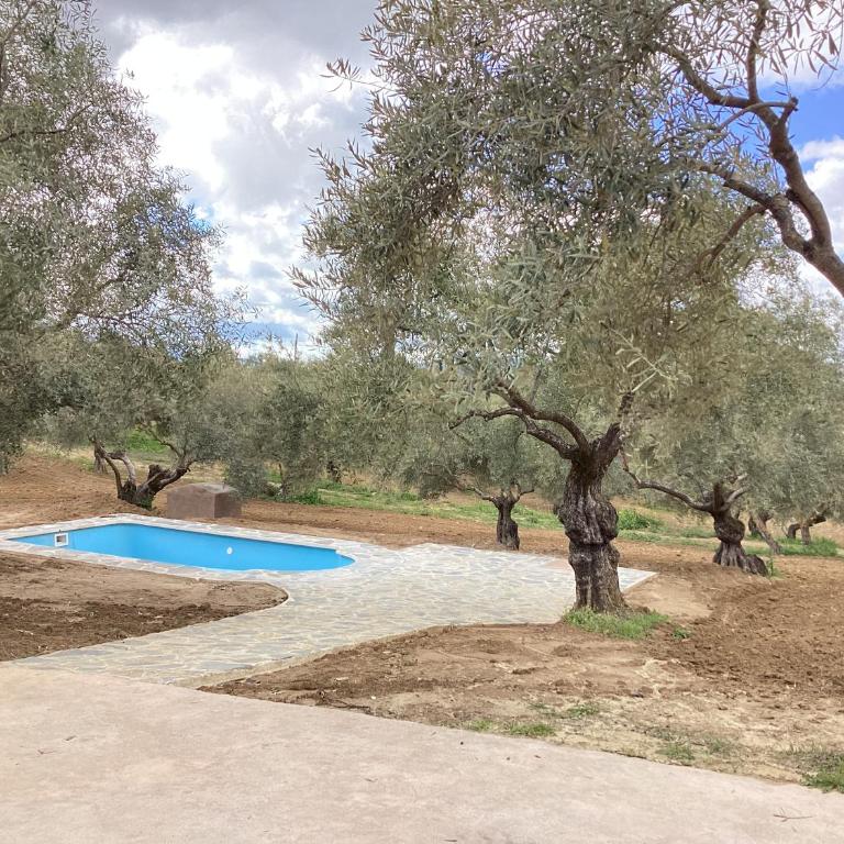 Alojamiento Rural El olivar - Casa de 3 dormitorios - 20