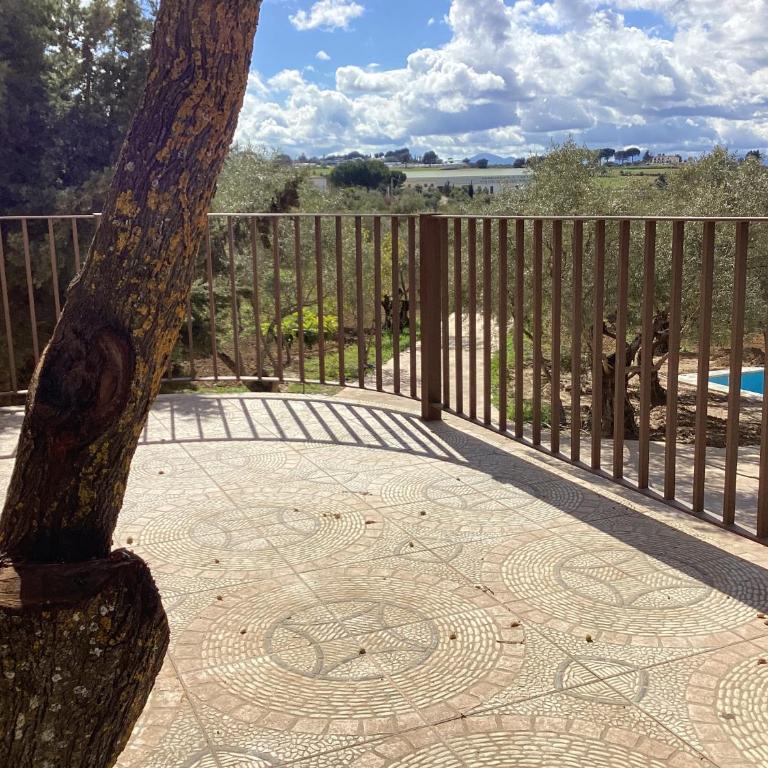 Alojamiento Rural El olivar - Casa de 3 dormitorios - 18