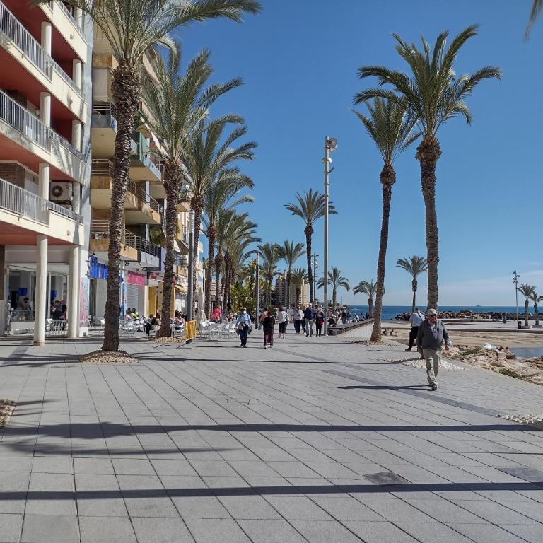 Sunny appartment with pool Torrevieja center - Apartamento de 2 dormitorios - 4