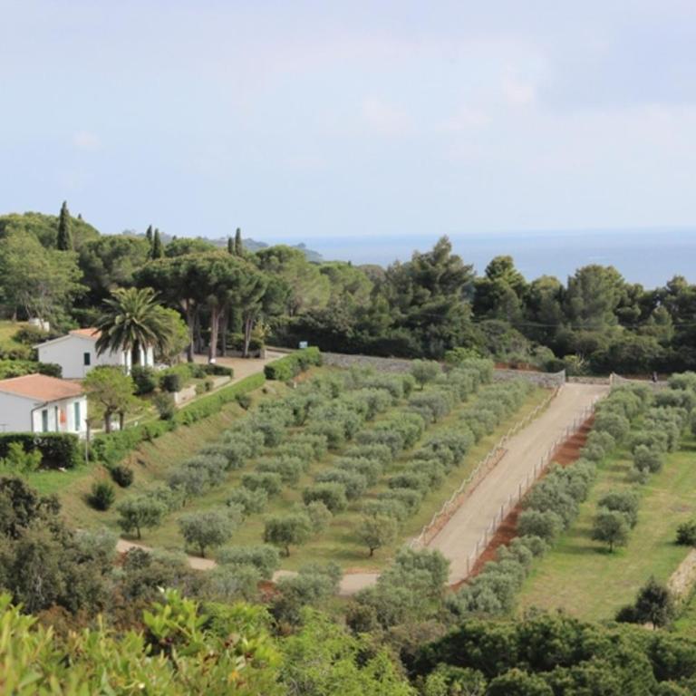 APPARTAMENTI ZUCCALE - A 200 mt dalla spiaggia - Appartamento con Vista Mare - 6