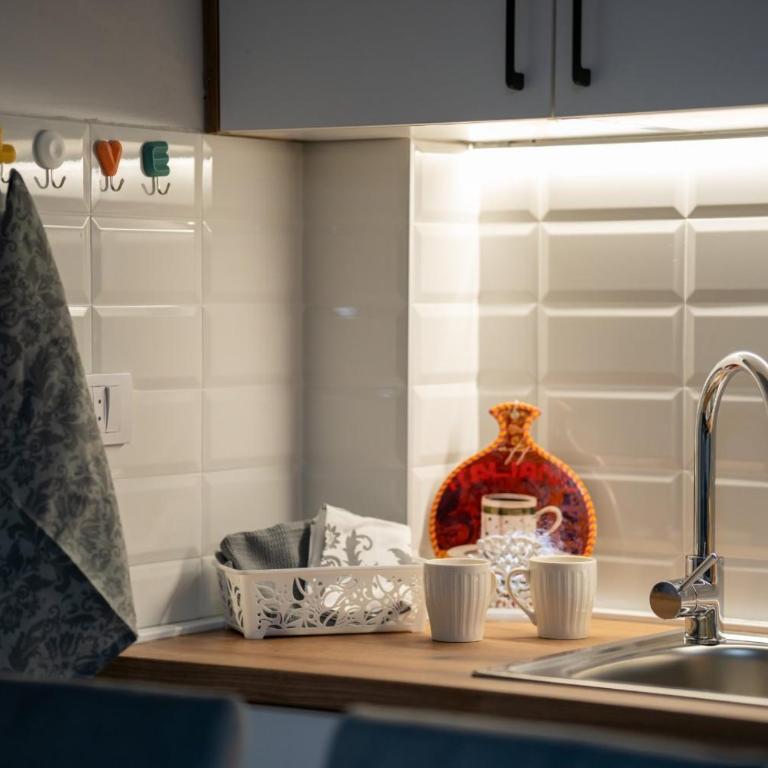 Medana Zlatibor - Apartman sa 1 Spavaćom Sobom - 15