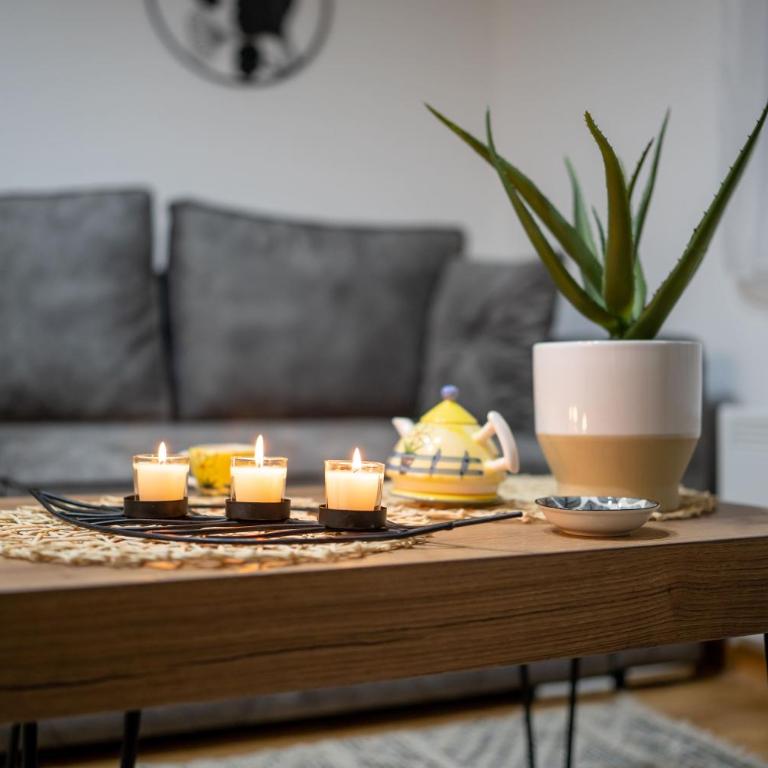 Medana Zlatibor - Apartman sa 1 Spavaćom Sobom - 20