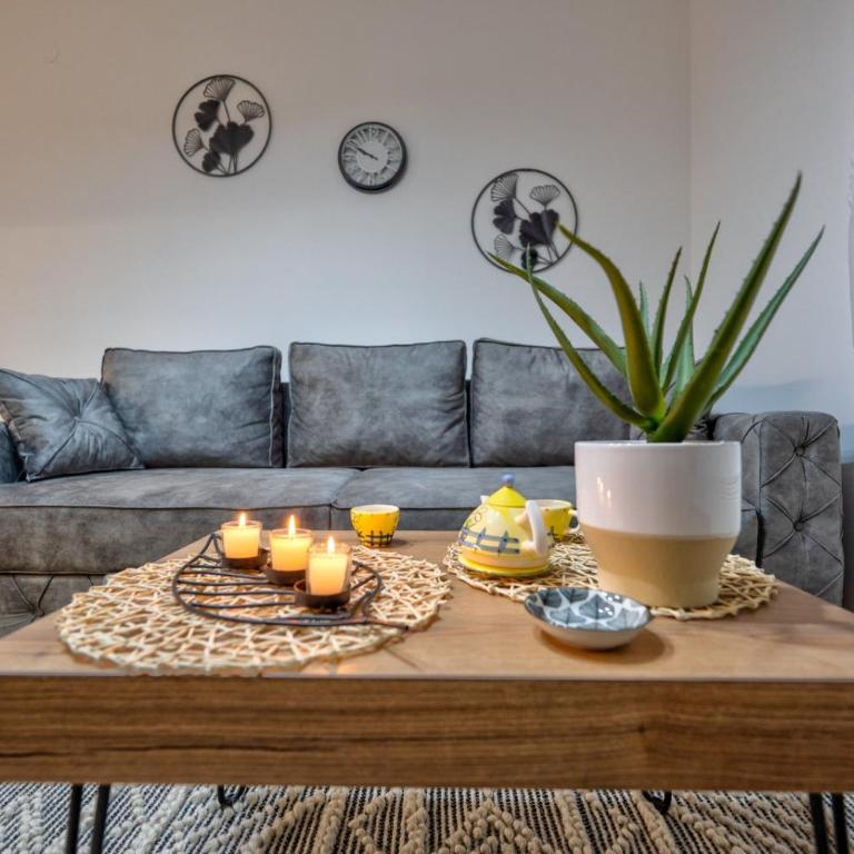 Medana Zlatibor - Apartman sa 1 Spavaćom Sobom - 1