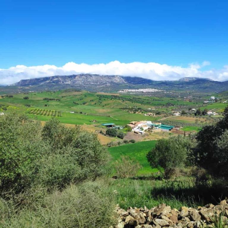 Casa rural Los Alcaidejos con piscina - Three-Bedroom House - 20