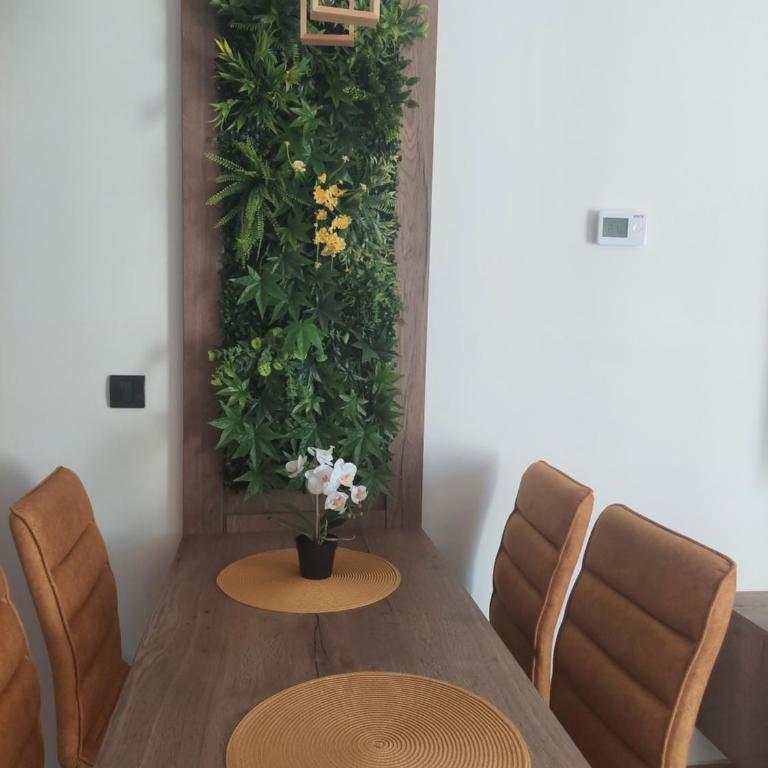 Apartlux Helena1 - Apartman sa 1 Spavaćom Sobom - 9