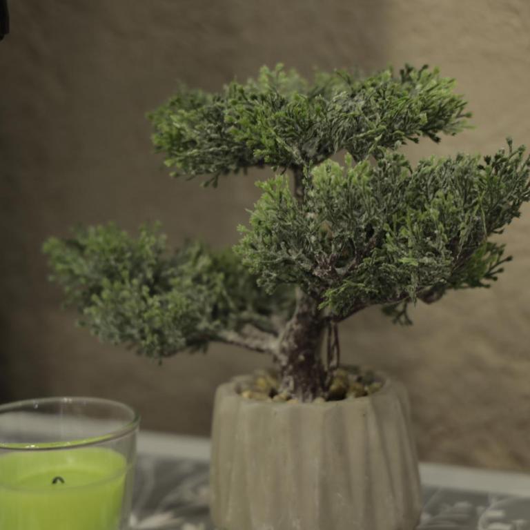 Apartment Alexandra - Apartman sa 1 Spavaćom Sobom - 4