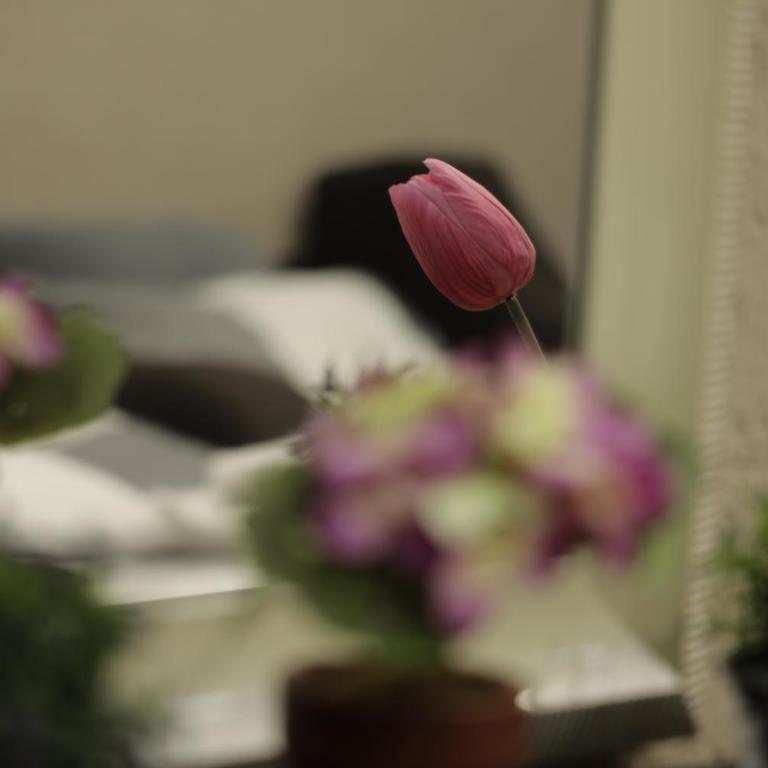 Apartment Alexandra - Apartman sa 1 Spavaćom Sobom - 39