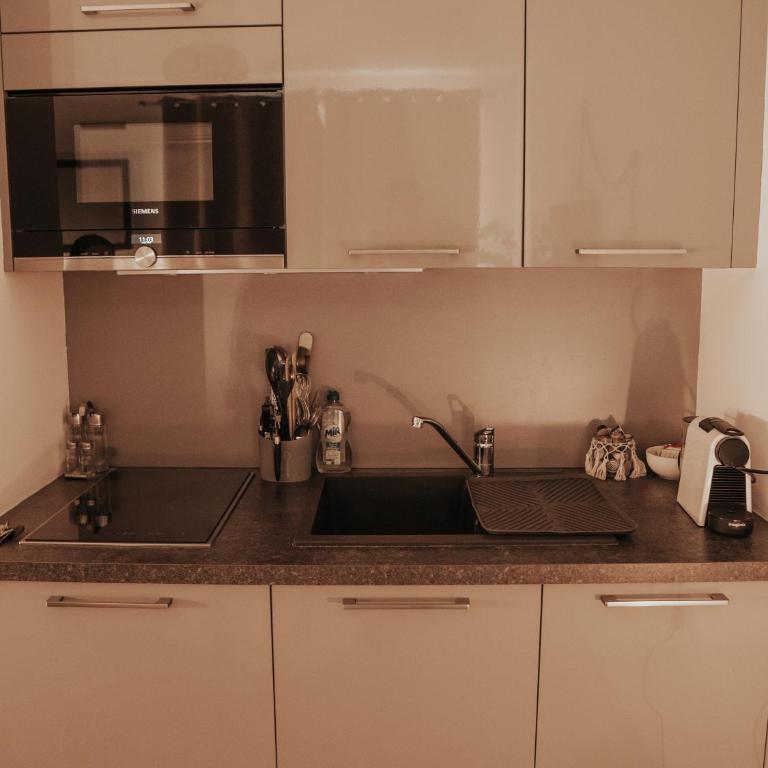 Studio tt confort coeur ville avec terrasse et parking gratuit - Appartement 1 Chambre - 16