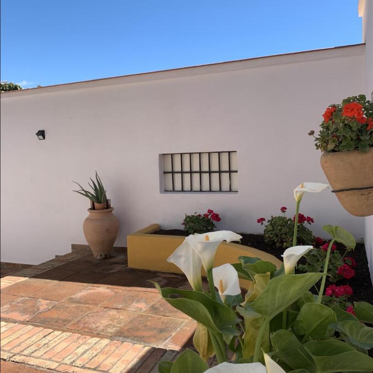 Encantador Apartamento-Céntrico-con Amplio Jardín - Apartamento de 1 dormitorio - 5