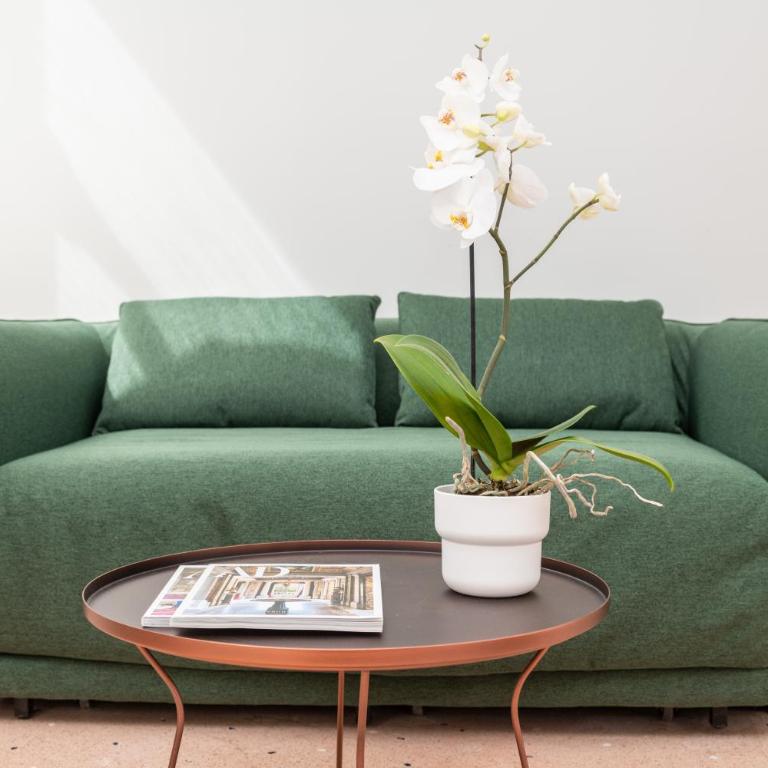 Palazzo Miracoli Apartments - Superior Apartment - 11