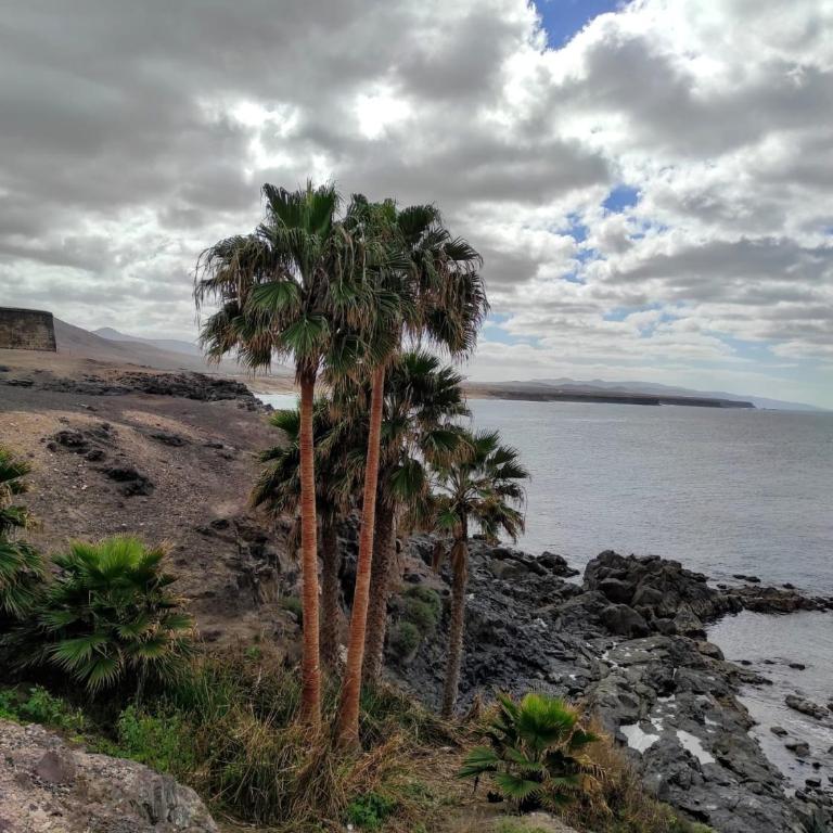 Laylas Beach Art House - Apartamento de 2 dormitorios - 15