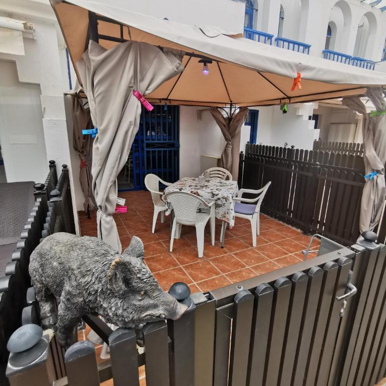 CASA GUAPA Maspalomas Playa de l'ingles - Apartamento de 1 dormitorio - 18