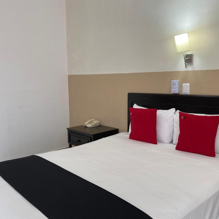 Hotel Siglo 21 Merida - Standard Studio - 1