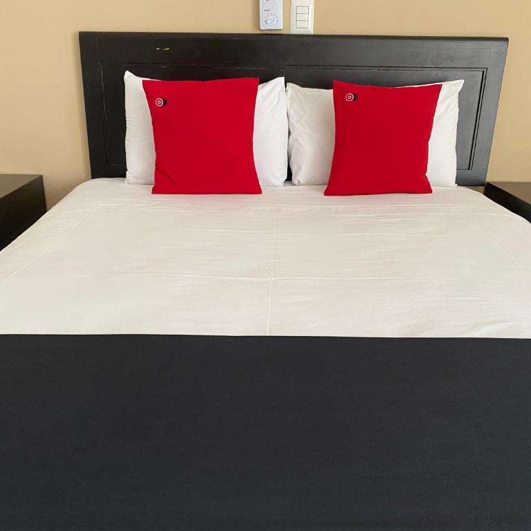 Hotel Siglo 21 Merida - Standard Studio - 7