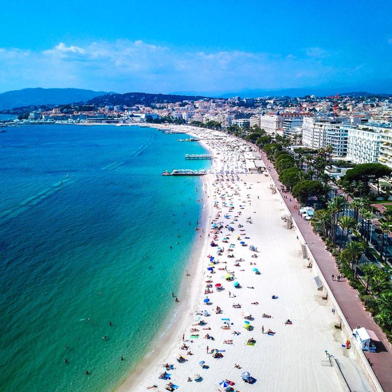 2 rooms facing south 300m from the Croisette LIVE IN LE BOSQUET - Appartement - 13