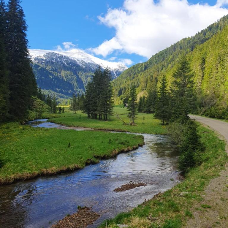 Almhütte Prem 1 - Chalet mit 2 Schlafzimmern - 10