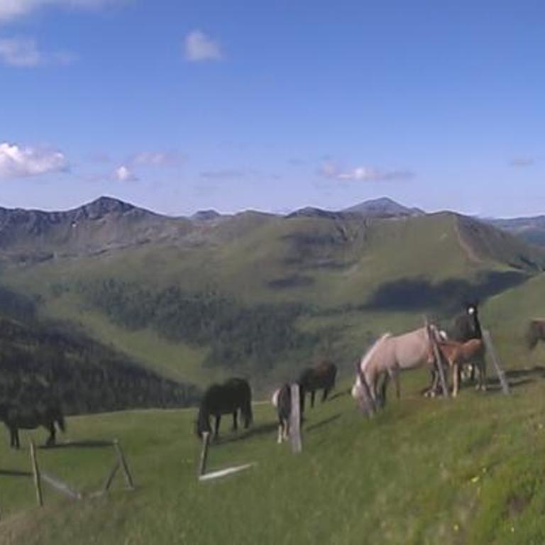 Almhütte Prem 1 - Chalet mit 2 Schlafzimmern - 11