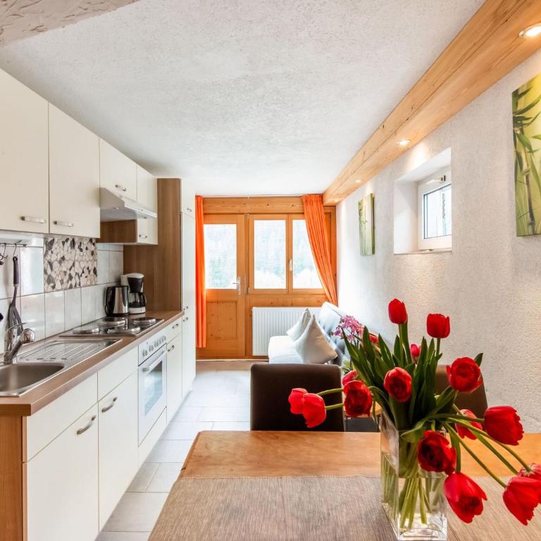 Apartment in Sankt Gallenkirch near Ski Slopes - Apartment mit 2 Schlafzimmern - 9