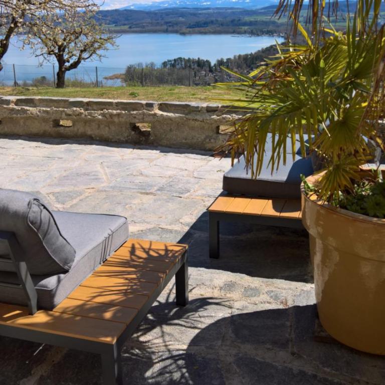 Swiss Borzoi House - Apartment mit Terrasse - 25