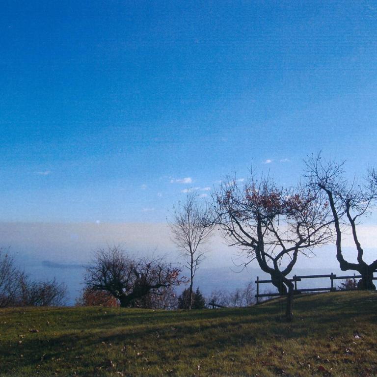 La FIOCCHINA - Magic Place - apartments & studios in Garda Lake - countryside farmhouse, inside the middle of the lake between sky & water - Monolocale Familiare - 19