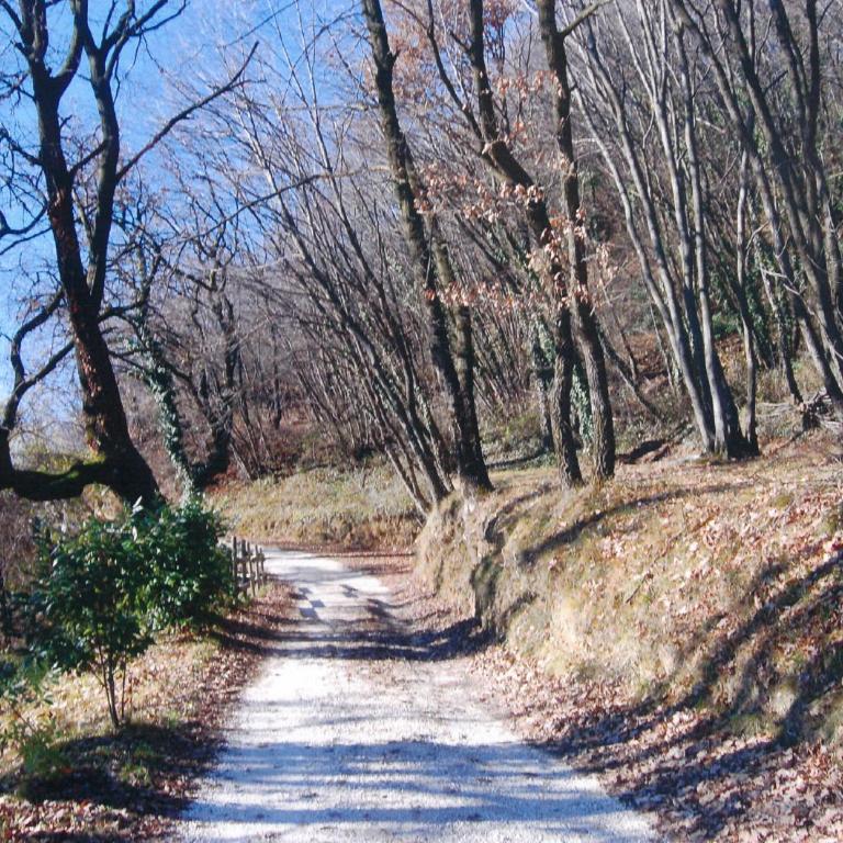La FIOCCHINA - Magic Place - apartments & studios in Garda Lake - countryside farmhouse, inside the middle of the lake between sky & water - Monolocale Familiare - 17