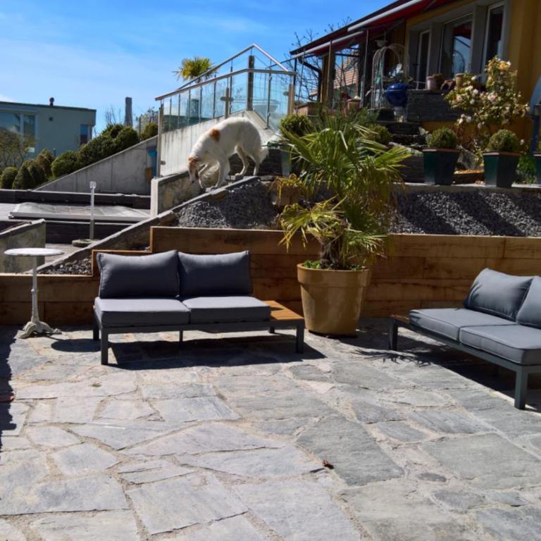 Swiss Borzoi House - Apartment mit Terrasse - 28