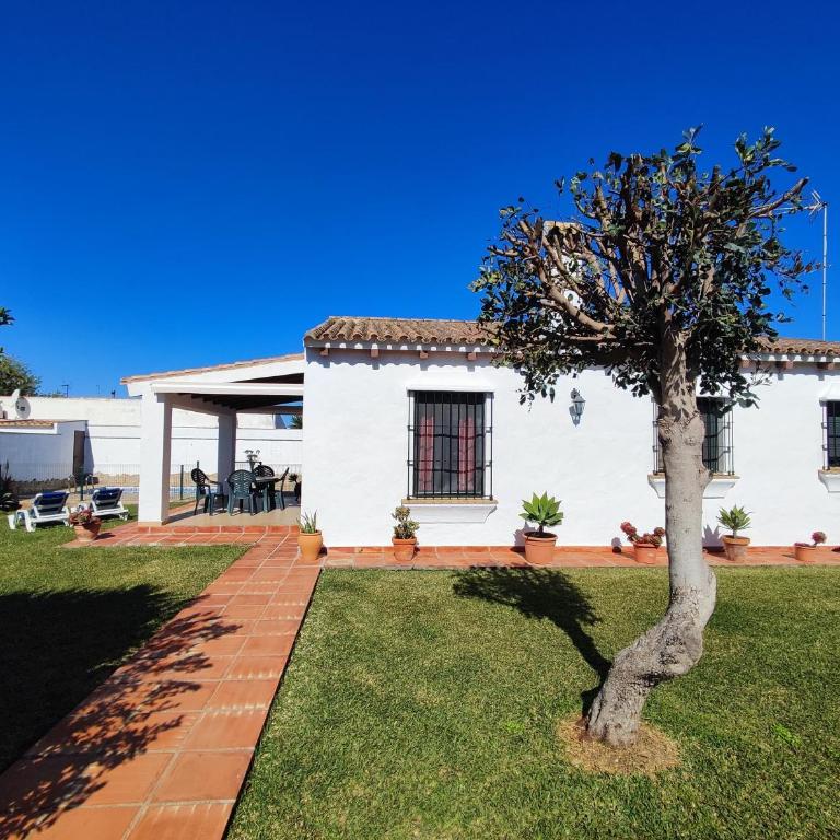 El Cortijo de Pepa - Casa de 3 dormitorios - 11
