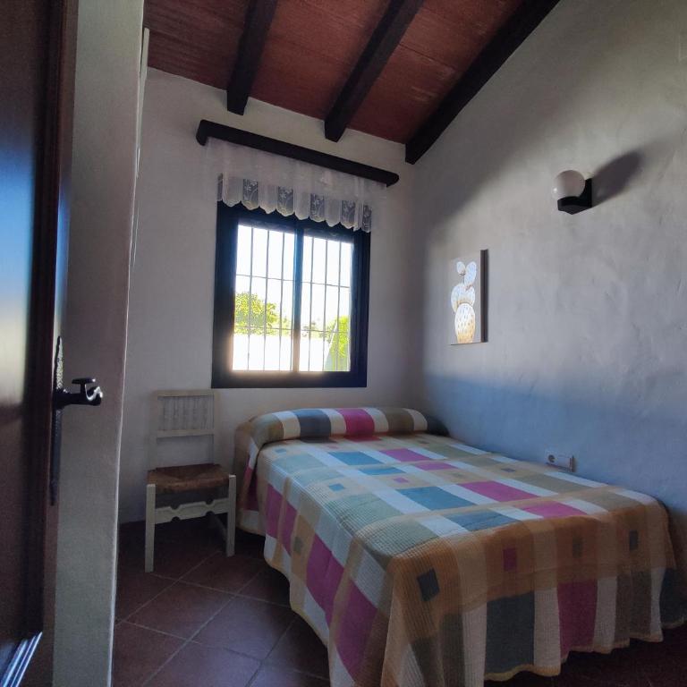 El Cortijo de Pepa - Casa de 3 dormitorios - 24