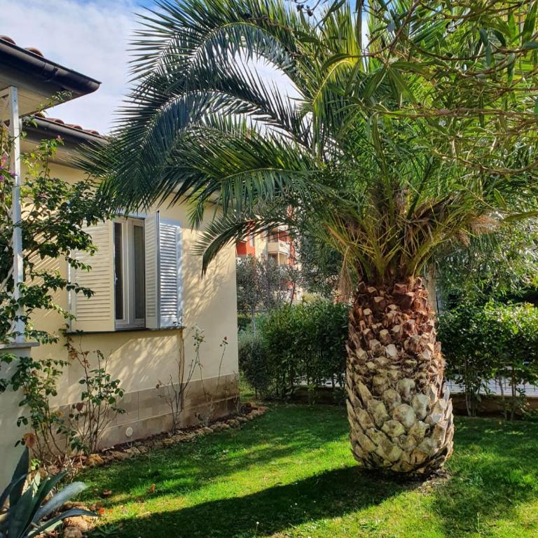 Casa Pineta - Casa con 2 Camere da Letto - 4
