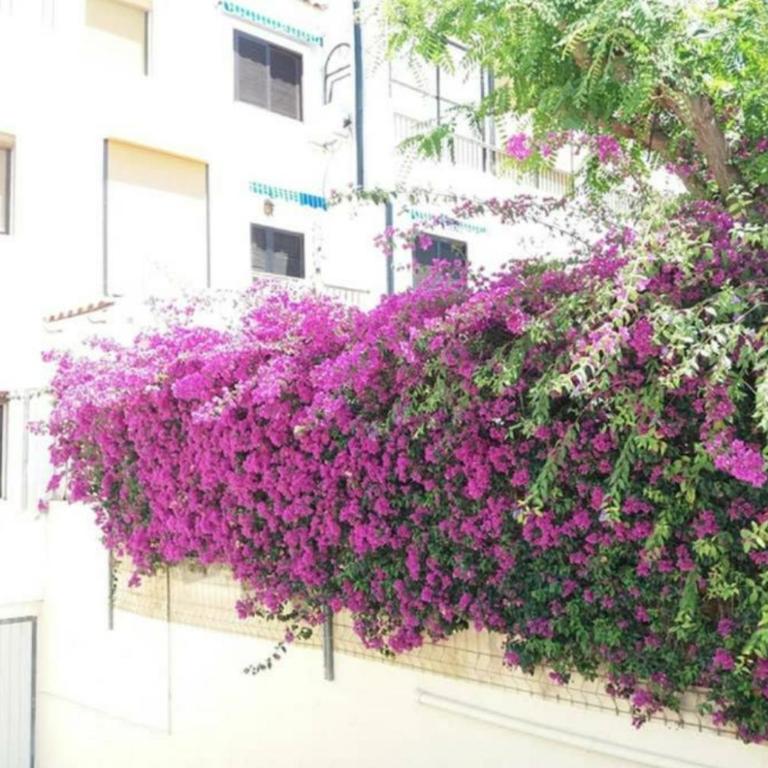 Bungalow con encanto, 100m2, a 800 m de la playa - Casa de 2 dormitorios - 20