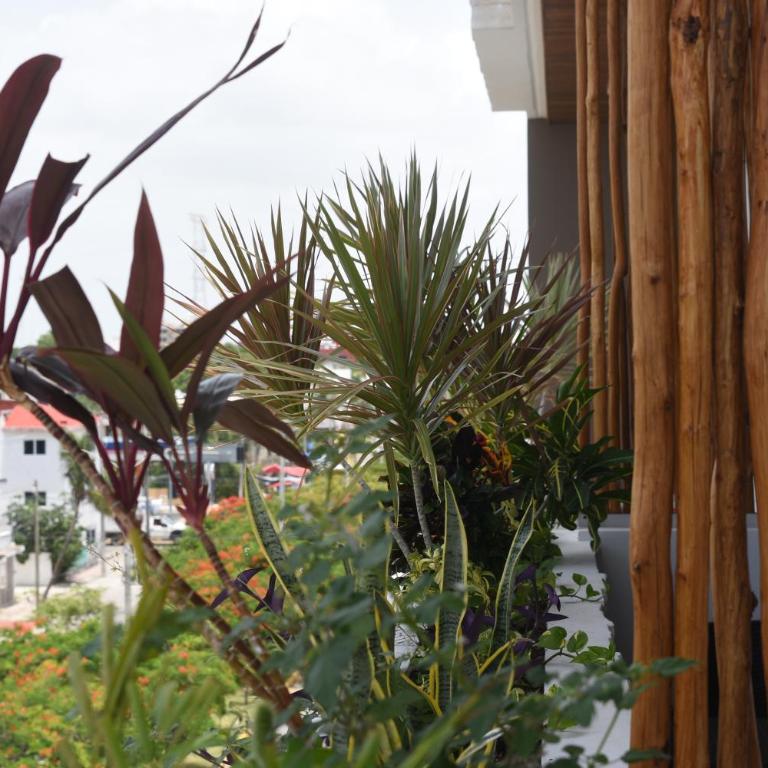 Suites calle 38 - Estudio con cama extragrande - 21