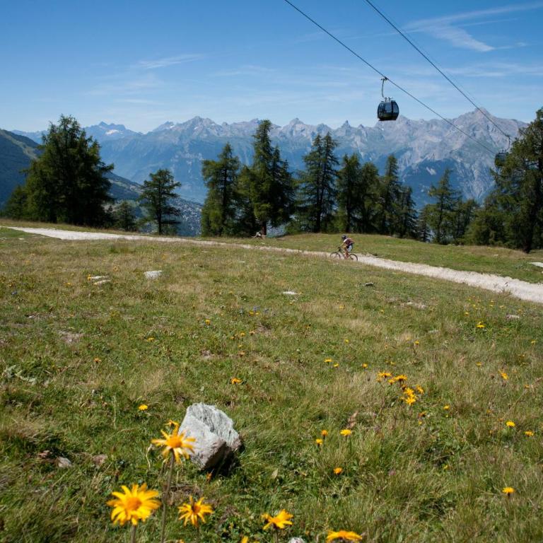 Dorril SUNNY & QUIET chalet 10 pers by Alpvision Résidences - Chalet - 17