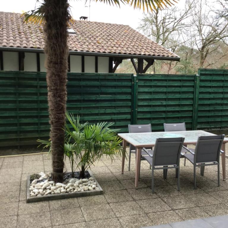 Agréable appartement à 1km du centre de La Teste-de-Buch - Appartement 1 Chambre - 4