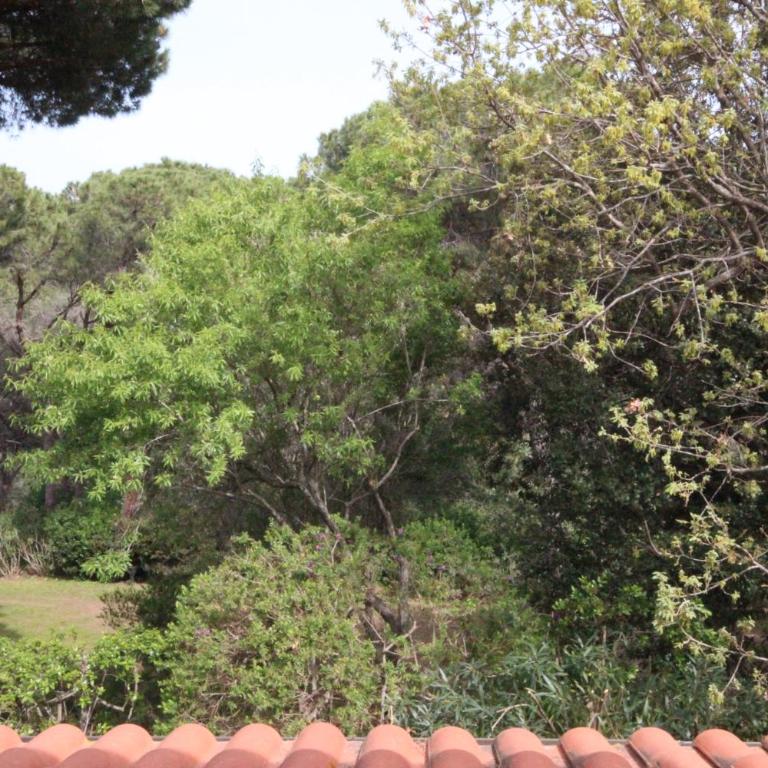 Appartamento Il Mandorlo - Appartamento con 2 Camere da Letto - 35