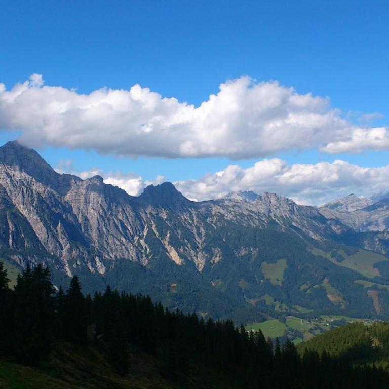 Blockhaus Wallisch - Chalet - 15
