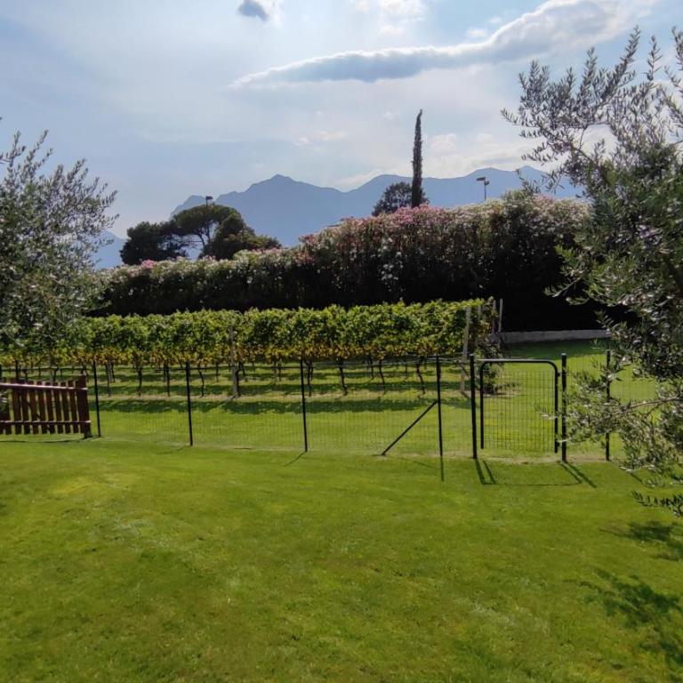 Casa Torboli 2 - Appartamento - Piano Terra - 5