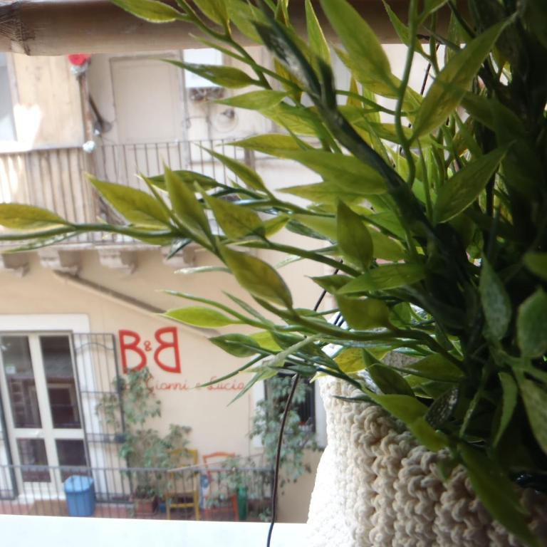Gianluca's Room - Single Room - 1