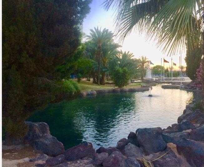 Beautiful apartment near LaMata Beach with PANORAMA SEA view!!! - Apartamento de 2 dormitorios - 62