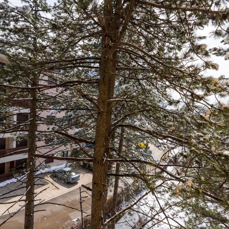 Apartmani Colić - Apartman sa 1 Spavaćom Sobom - 17