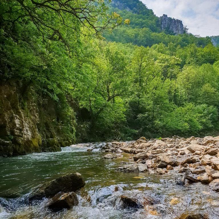 Apartman 65 Zlatibor - Apartman sa 1 Spavaćom Sobom - 44