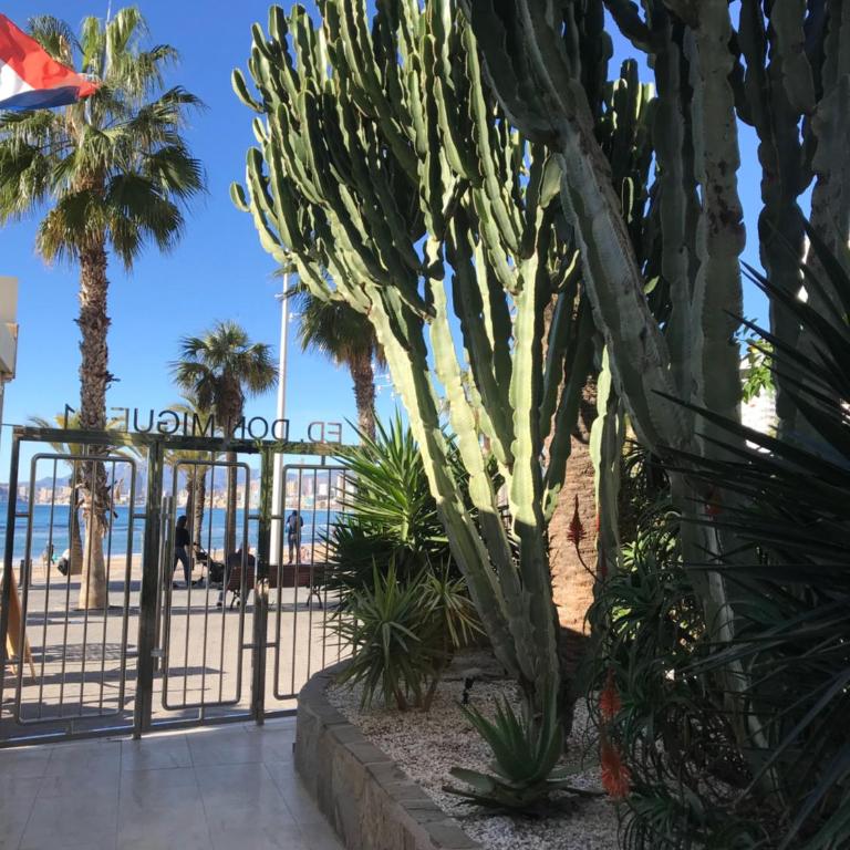 Apartamento Playa Levante renovado con vistas maravillosas Don Miguel 1 Deluxe - Apartment mit 2 Schlafzimmern - 87