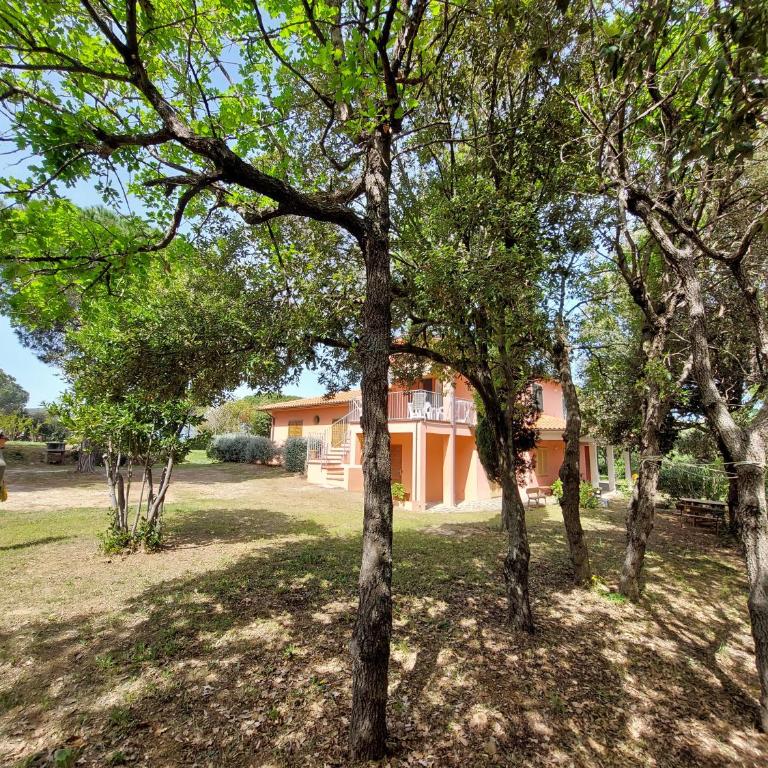 Appartamento Il Mandorlo - Appartamento con 2 Camere da Letto - 34
